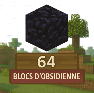 Image 🪨 64 Blocs d'obsidienne